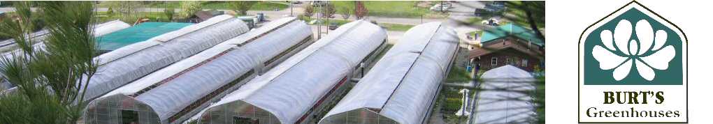 Header1overhead.jpg