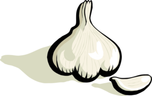 johnny-automatic-garlic-1-800px